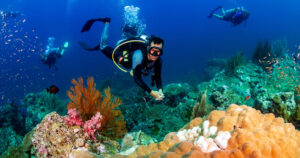 diving-Ras-Mohammed-National-Park