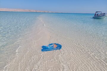 Abu Minqar Island by speedboat from Soma Bay Safaga Abu Minqar Island Beach from Soma Bay, Safaga by Private Speedboat all-inclusive