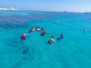 Booking Luxury Jet Boats tour to Dolphin Spotting, Orange Bay, Snorkeling 2