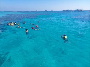 Booking Luxury Jet boat Tours to Snorkeling Dolphin House 4