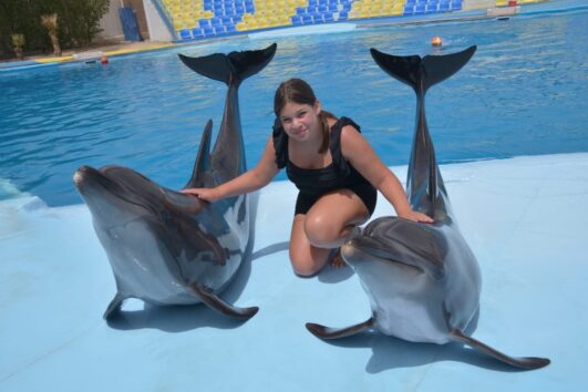 Dolphin Show Tour from EL Gouna