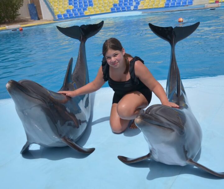 Dolphin Show Tour from EL Gouna