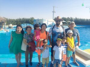 Dolphin Show Tour from Makadi Bay 3