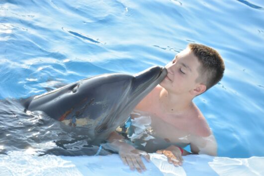 Dolphin Show Tour from Makadi Bay