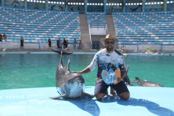 Dolphin Show Tour from Makadi Bay Dolphin-World-Egypt-Makadi-Bay