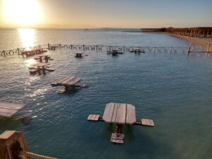 Private Speed Boats Tour from Soma Bay Safaga 5