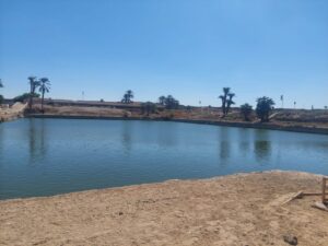 Sacred Lake in Karnak Temple