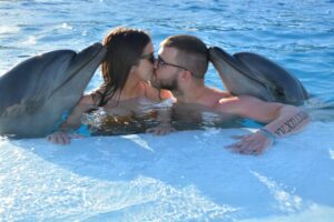 Swim with Dolphins in Pool - Photo Session 2