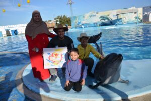 Swim with Dolphins in Pool - Photo Session Dolphin Show Tour from Soma Bay