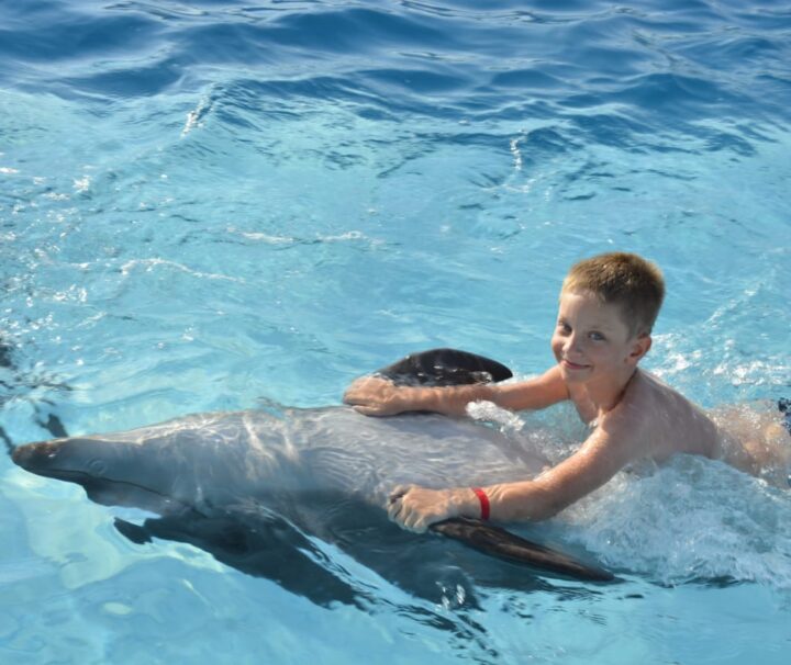 Dolphin Show Tour from Sahl Hasheesh