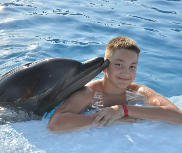 Dolphin Show Tour from Hurghada Swim with Dolphins in Pool - Photo Session 5