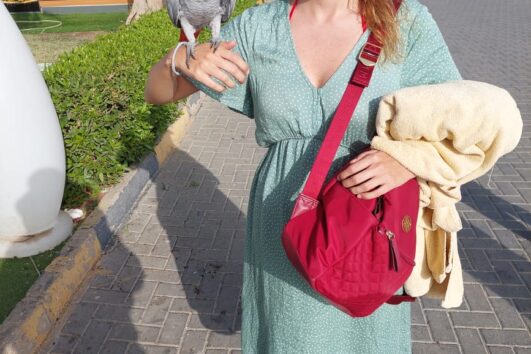 Hurghada City Tour from Makadi Bay with Shopping Stops Private Hurghada City Tour from EL Gouna