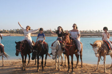 Private EL Gouna Horse Riding Tour 2025