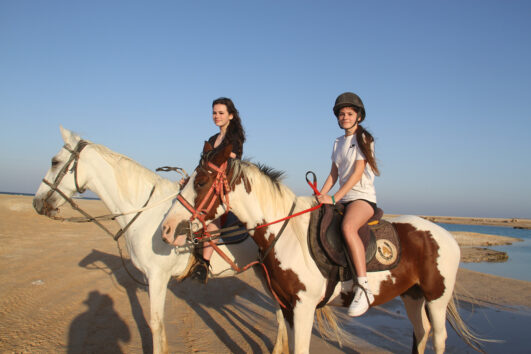 Private Makadi Bay Horse Riding Sunrise & Sunset 2025