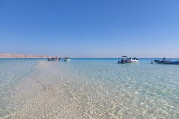 Hurghada Abu Minqar Island Beach Tour by Private Speedboat with Snorkeling Spots & Dolphin House Abu Minqar Island Beach from EL Gouna Trips all-inclusive