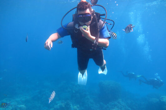 Scuba Diving Hurghada Trips 2024