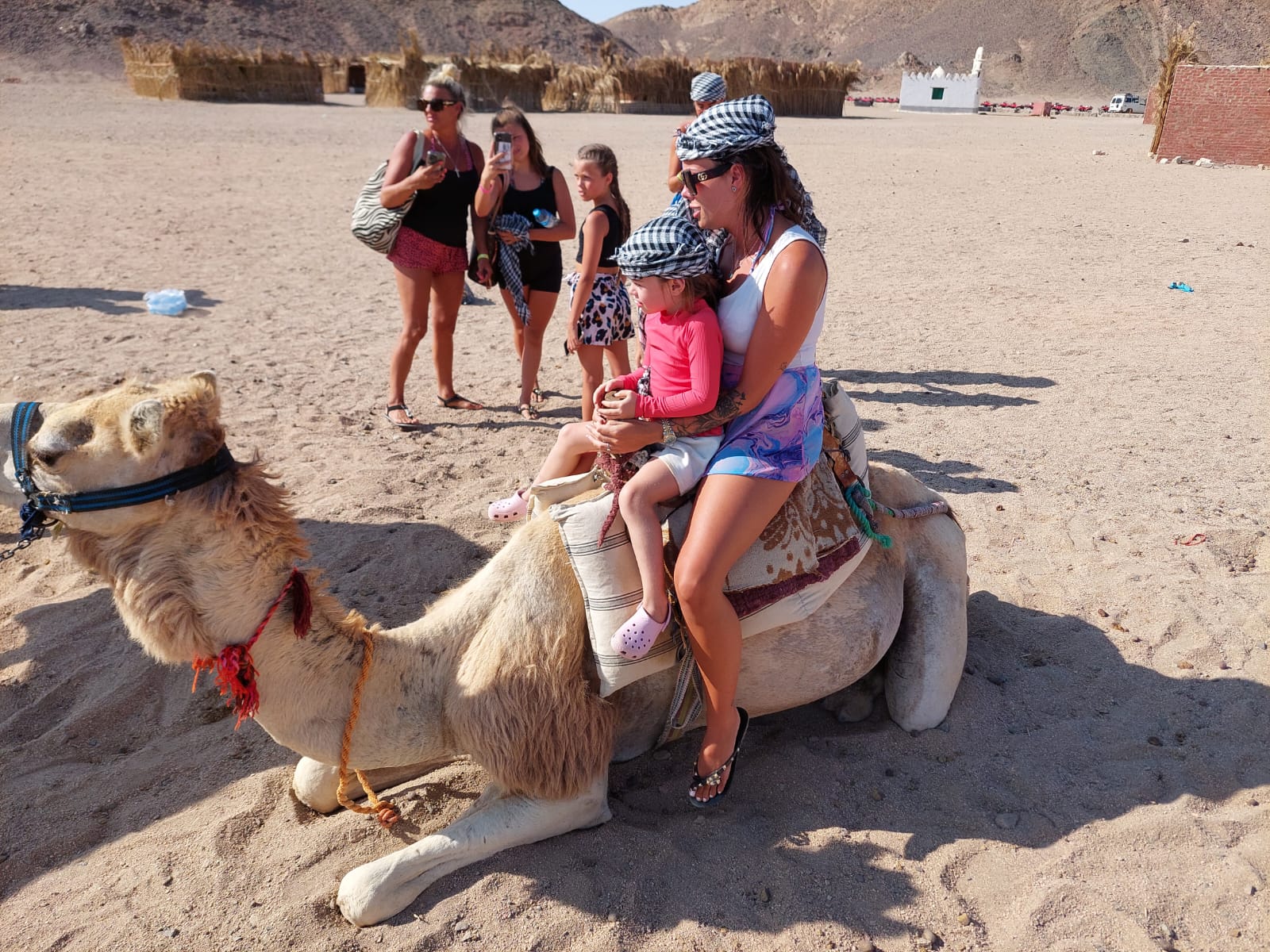 Hurghada Quad Biking Sunset Tours to Safari Sahara Bedouin Village with Camel Ride Fun in Egypt Desert Wildlife