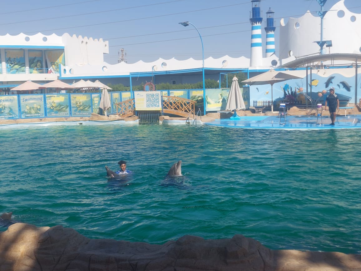 Dolphin World Egypt Show from Hurghad 2027