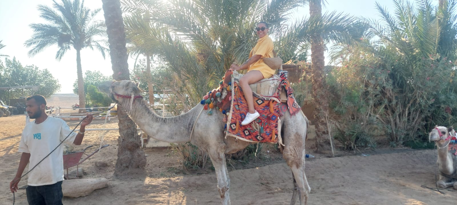 Horseback & Camel Trekking Desert for beginners and Professional 2027