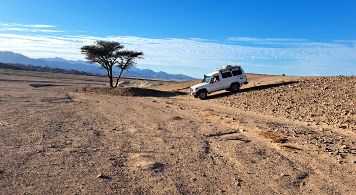 Hurghada Desert Stargazing Tours by Jeep 2027