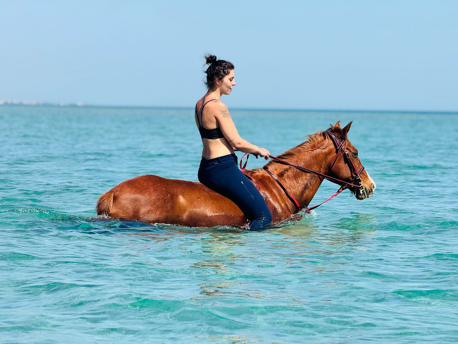 Hurghada Private Horse Riding Tours on Dune Beach & Swimming with Horses Sunset, Sunrise, Morning 2026