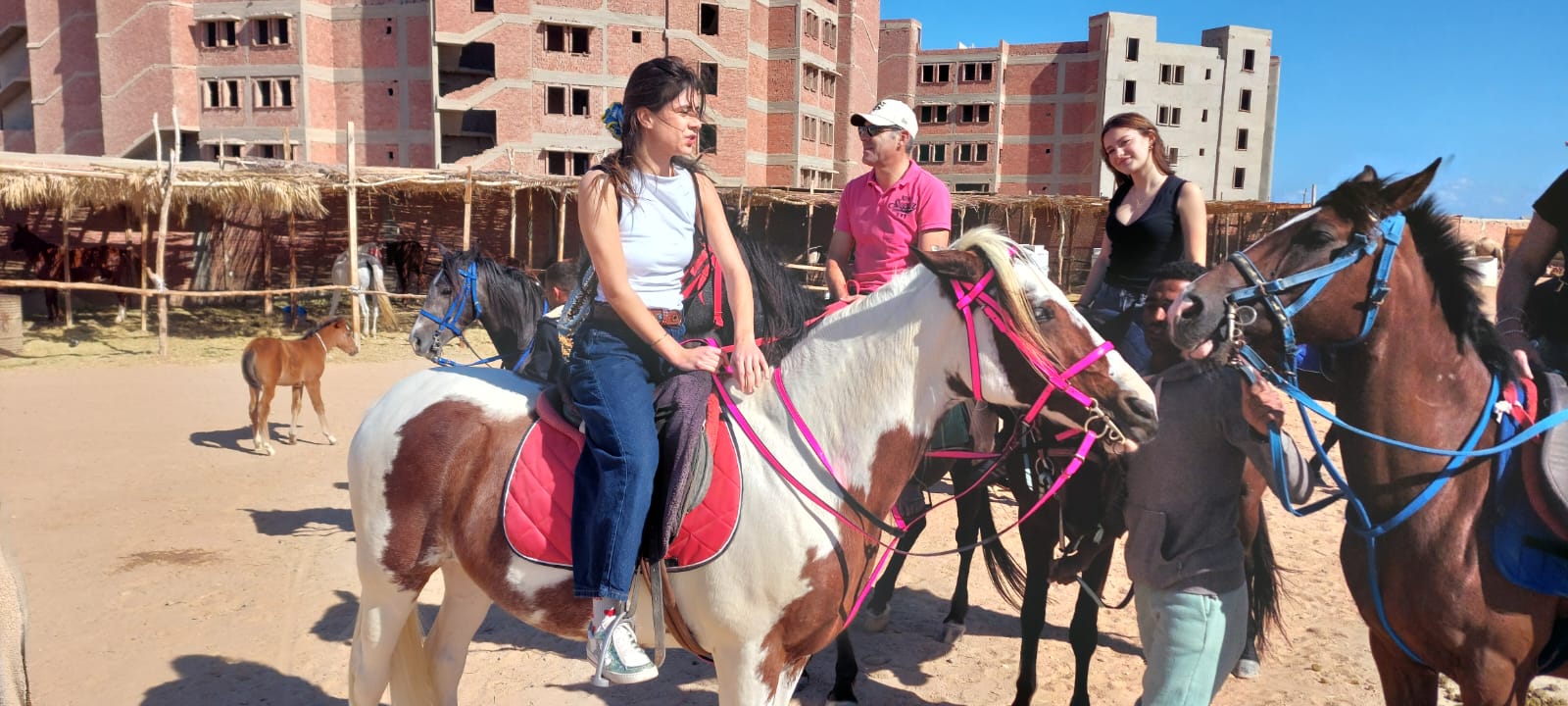 Hurghada Private Horse Riding Tours on Dune Beach & Swimming with Horses Sunset, Sunrise, Morning 2027