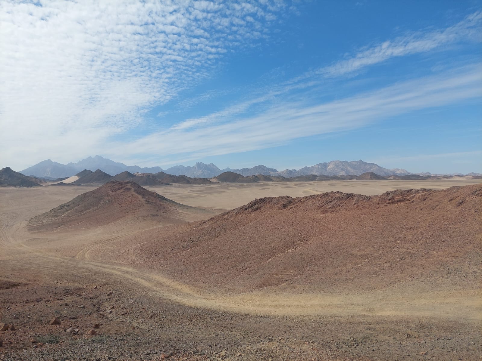 Hurghada Quad Biking Sunset Tours to Safari Sahara Bedouin Village with Camel Ride Fun in Egypt Desert Wildlife