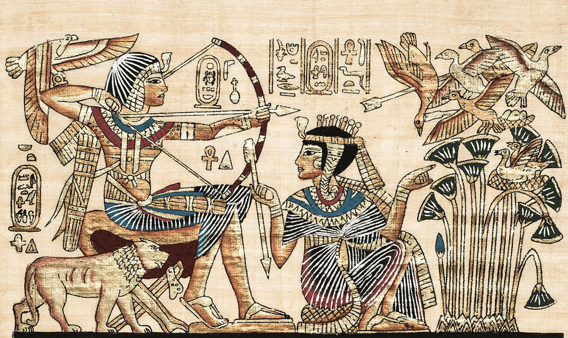 Aswan Private Bird Watching Tours