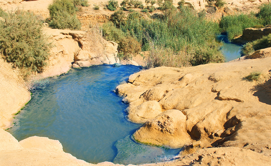 Cairo Private Tours to El Fayoum