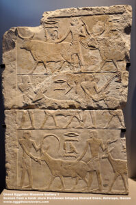 1-Grand-Egyptian-Museum-Gallery-1---Dynasty-4,-limestone,-Tombs-in-Giza,-Agriculture-in-ancient-egypt,-Herdsman-bringing-animals,-bringing-Horned-Oxen,-Antelope-and-Ibexes