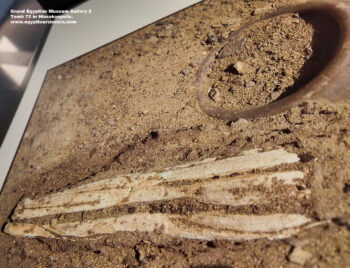117_3-Naqada-ii-period,-Hierakonpolis,-Ancient-Egypt,-History-Pharaohs,-Grand-Egyptian-Museum,-Tomb-72-in-Hierakonpolis