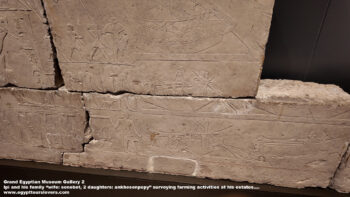 166-Dynasty-6,-limestone,-Saqqara,-Ancient-Egypt,-History-Pharaohs,-Grand-Egyptian-Museum,-Ipi-and-his-family-wife-senebet,-2-daughters-ankhesenpepy,-surveying-farming-activities-at-his-estates