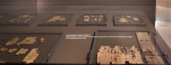 192-Dynasty-5,-Papyrus,-Ancient-Egypt,-History-Pharaohs,-Grand-Egyptian-Museum,-abusir,-Administrative-archives-report-the-incomes-and-expenses-of-the-Queen-Khentkaus-II-temple