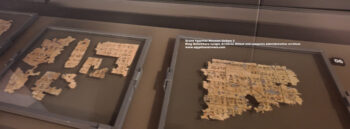 197-Dynasty-5,-Papyrus,-Ancient-Egypt,-History-Pharaohs,-Grand-Egyptian-Museum,-abusir,-King-Neferirkare-temple-Archives-Oldest-and-complete-Administrative-archives