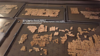 200-dynasty-5,-papyrus,-abuser,-Ancient-Egypt,-History-Pharaohs,-Grand-Egyptian-Museum,-temple-was-managed-by-5-group-of-priests-called-phyle
