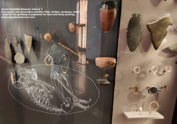 242_1-Naqada-II,-greywacke,-Saqqara,-gebel-el-tarif,-tarkhan,-nea-el-deir,-hierakonpoils,-Ancient-Egypt,-History-Pharaohs,-Grand-Egyptian-Museum,-Functional-and-decorative-palettes