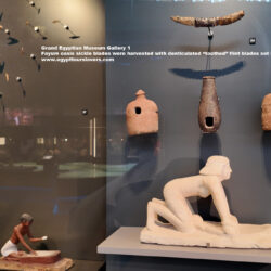 33-Neolithic-period,-flint,-Agriculture,-Ancient-Egypt,-History-Pharaohs,-Grand-Egyptian-Museum,-fayum-lake-began-to-plant-emmer-wheat,-barley-and-flax