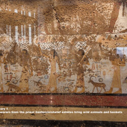 40 Dynasty 6, Plaster, Mudbricks, Dahshur, Ancient Egypt, History Pharaohs, Grand Egyptian Museum, offering bearers from the priest Senferuinishetef estates bring wild animals and baskets