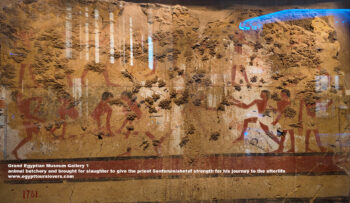 43-Dynasty-6,-Ancient-Egypt,-History-Pharaohs,-Grand-Egyptian-Museum,-Plaster,-Mudbricks,-Dahshur,-showing-animal-butchery-and-brought-for-slaughter-to-give-the-priest-Senferuinishetef