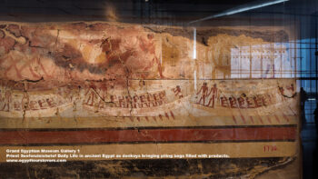 48-Dynasty-6,-Ancient-Egypt,-History-Pharaohs,-Grand-Egyptian-Museum,-Plaster,-Dahshur,-priest-Senferuinishetef-Daily-Life,-donkeys-bringing-piling-bags-filled-with-products,-servants-piling-bundles