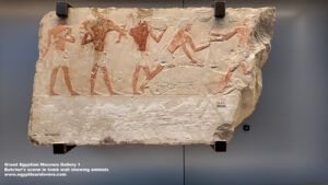 5-Grand-Egyptian-Museum-Gallery-1---Dynasty-5,-limestone,-Tombs-in-Saqqara,-Daily-life-in-ancient-egypt,-Butcher’s-scene-in-tomb-wall,-meat-in-Egyptian-food,-Rituals,-journey-to-the-afterlife