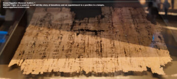 95-Dynasty-6,--papyrus,-Saqqara,-Ancient-Egypt,-History-Pharaohs,-Grand-Egyptian-Museum,-Hieratic-signs-on-a-papyrus-scroll-tell-the-story-of-donations-and-an-appointment