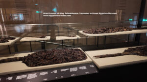 Dried-Leaves-of-King-Tutankhamun-Treasures-in-Grand-Egyptian-Museum