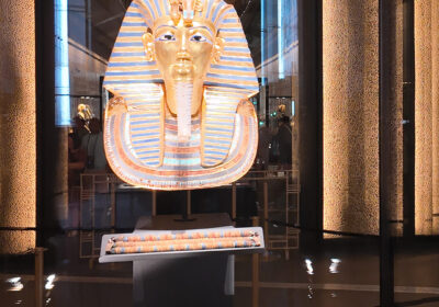 King Tutankhamun Treasures in Grand Egyptian Museum – 4K Video & Images Stock Photos